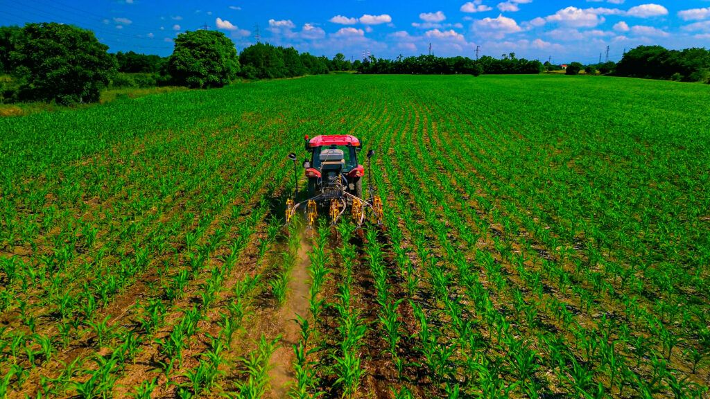 Protecting the Harvest - BlogM1.4